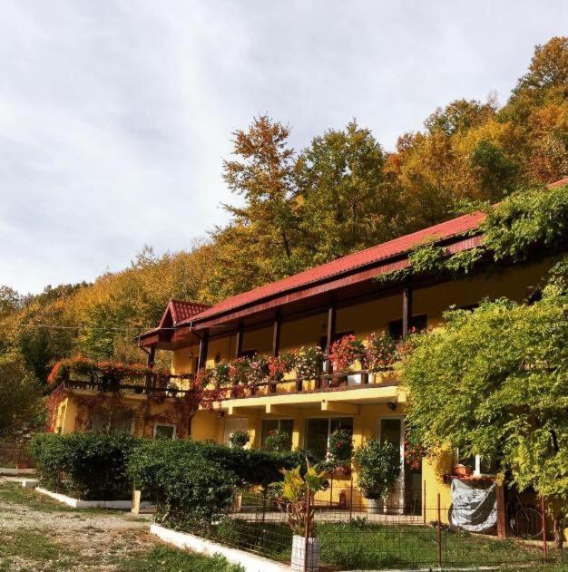 Bed and Breakfast House In The Woods Resita Exteriér fotografie
