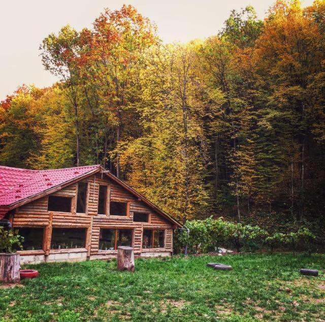 Bed and Breakfast House In The Woods Resita Exteriér fotografie